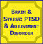 Picture of Brain & Stress: PTSD & Adjustment Disorder