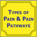 Picture of Types of Pain & Pain Pathways