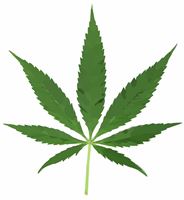Picture for category Marijuana Topics